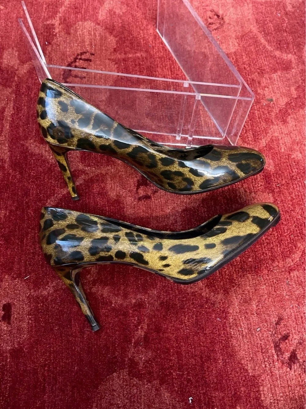 Dolce & Gabbana stylish leopard